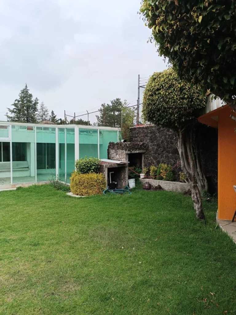 Jardín con árbol maduro y acceso a la terraza